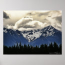 Search for new forest posters South island