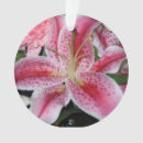 Search for stargazer lily decor White