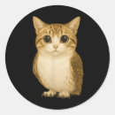 Search for funny internet stickers Meme