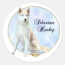 Search for siberian husky stickers Chuksha