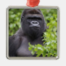 Search for gorilla christmas tree decorations Animal