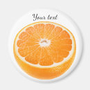 Search for oranges magnets Fruit