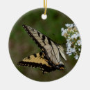 Search for yellow butterflies christmas tree decorations Summer