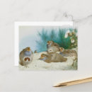 Search for vintage scotland postcards Watercolor