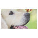 Search for for dog lovers pillowcases Dogs