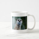 Search for manor mugs Meerkat