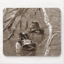 Search for drake electronics Wildlife