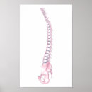 Search for backbone art 3d