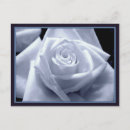 Search for subtle postcards Black