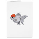 Search for oranda Aquarium