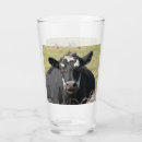Search for cow tumblers Nature