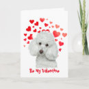 Search for poodle valentines day cards Funny