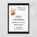 Search for yorkie birthday invitations Pet
