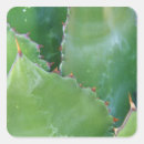 Search for sonora stickers Tucson