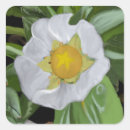 Search for blossom stickers Black