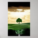 Search for root posters Trees