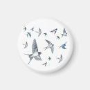 Search for ornithology magnets Bird