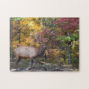Search for elk puzzles Hunting