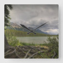 Search for square root clocks Tree