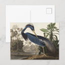 Search for bird print postcards Birds of america