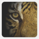 Search for tiger eye stickers Nature