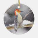 Search for woodpecker christmas tree decorations Red bellied woodpecker