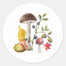 Search for wild berries stickers Nature