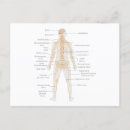 Search for nervous postcards System