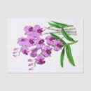 Search for jungle tissue paper Botanical illustration