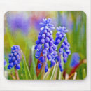 Search for hyacinth mousepads Green