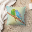 Search for budgie cushions Cute