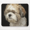 Search for eyes closed mousepads Dog
