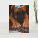 Search for sad birthday cards Dog