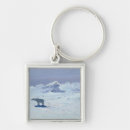 Search for moonlit night key rings Snow