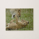 Search for peak puzzles Lion