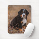 Search for bernese mountain dog mousepads Canine