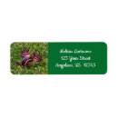 Search for out return address labels Nature