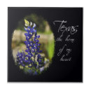 Search for texas bluebonnet Lone star state