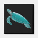 Search for realist magnets Animal