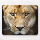 Search for the lion king mousepads Leo