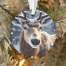 Search for deer antlers christmas tree decorations Reindeer