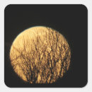 Search for spooky tree stickers Moon