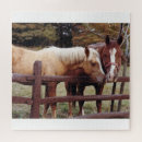 Search for equestrian puzzles Farm