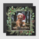 Search for magnet christmas cards Botanical