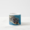 Search for blue hawaiian mugs Coastal