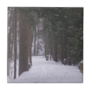 Search for evergreen tree tiles Trees