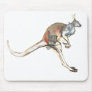 Search for australia kangaroo mousepads Macropus rufus