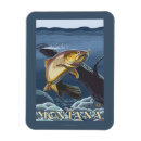 Search for lantern fish magnets States