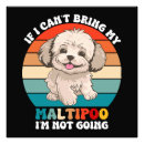 Search for maltipoo art Animal
