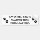 Search for dog leads Pets